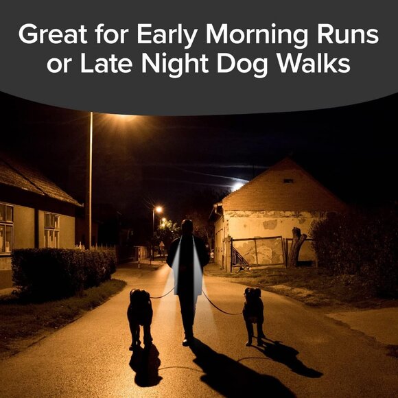 Green and Silver Bluetooth Neck Light - Picture 6 of 13